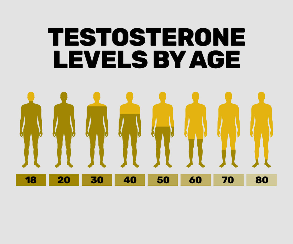 Testosterone Replacement Therapy: Why Monitoring is Important (Part 3)